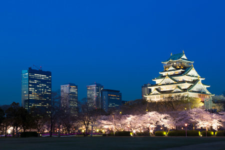 Arrayのeditorial素材