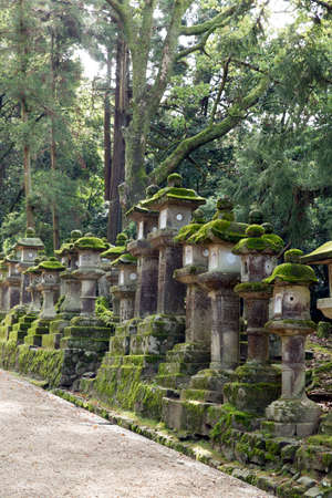 Arrayのeditorial素材