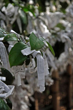 Arrayのeditorial素材