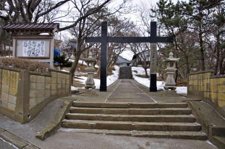 Arrayのeditorial素材