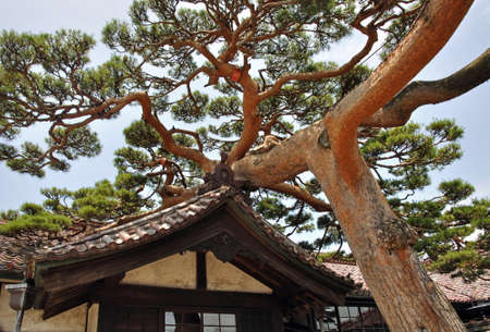 Arrayのeditorial素材