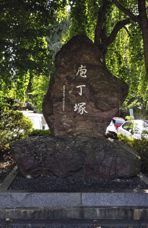 Arrayのeditorial素材