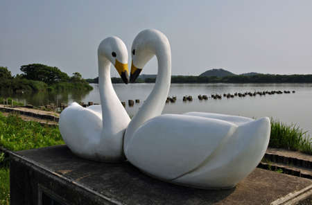 Arrayのeditorial素材