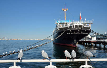 Arrayのeditorial素材