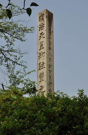 Arrayのeditorial素材