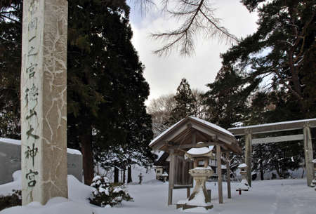 Arrayのeditorial素材