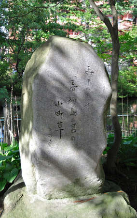 Arrayのeditorial素材