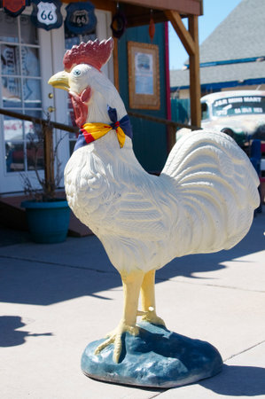 Arrayのeditorial素材