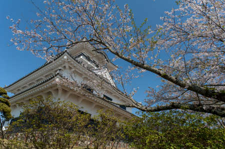 Arrayのeditorial素材