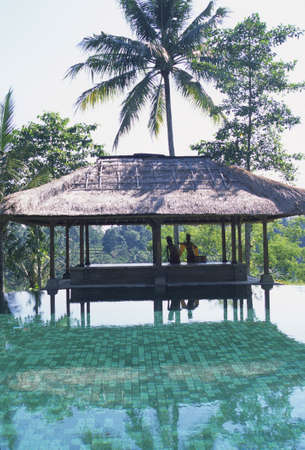 Arrayのeditorial素材