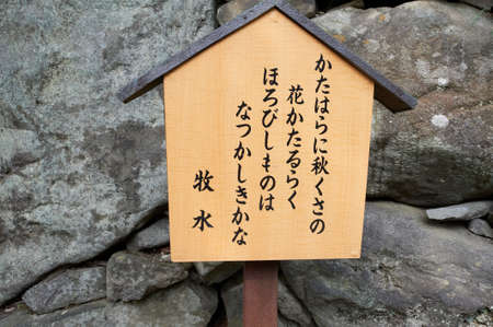 Arrayのeditorial素材