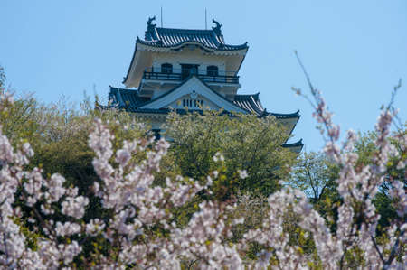 Arrayのeditorial素材