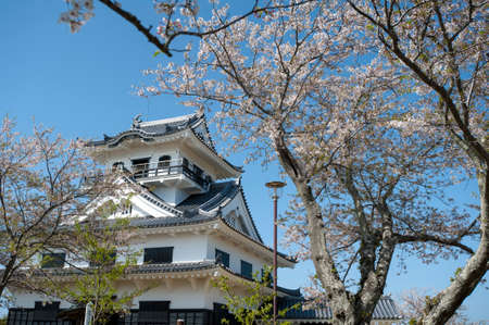 Arrayのeditorial素材