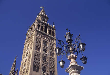 Arrayのeditorial素材