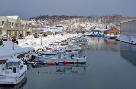 Arrayのeditorial素材