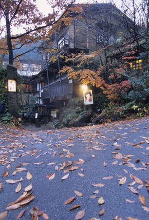 Arrayのeditorial素材