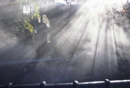 Arrayのeditorial素材