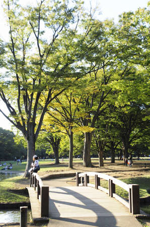 Arrayのeditorial素材