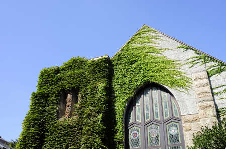 Arrayのeditorial素材