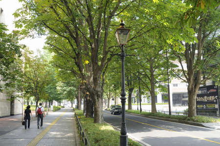 Arrayのeditorial素材