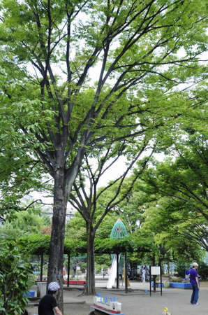 Arrayのeditorial素材