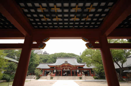 Arrayのeditorial素材