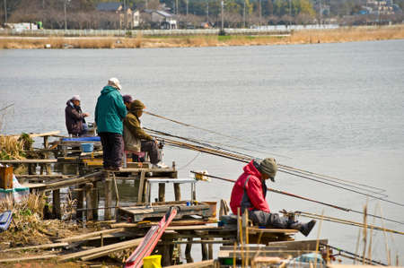 Arrayのeditorial素材