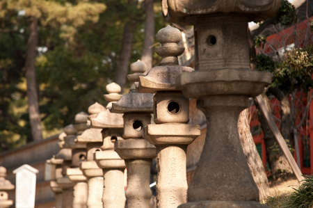 Arrayのeditorial素材