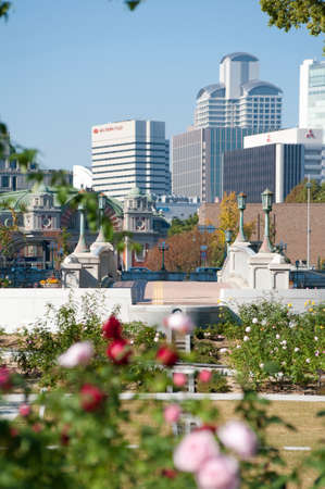 Arrayのeditorial素材