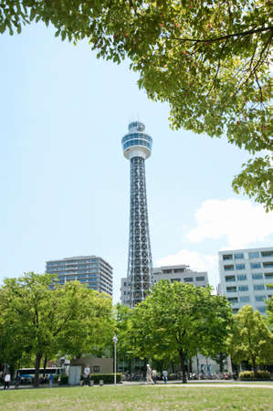 Arrayのeditorial素材