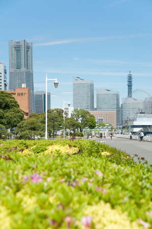 Arrayのeditorial素材