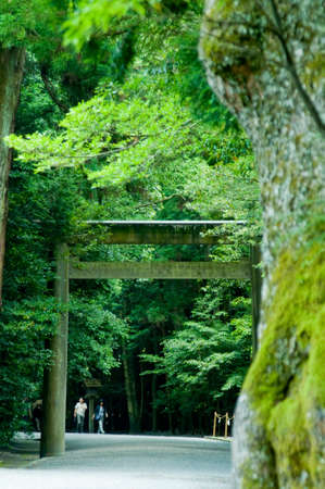 Arrayのeditorial素材