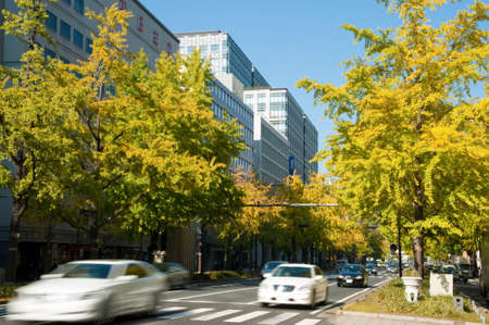 Arrayのeditorial素材