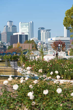 Arrayのeditorial素材