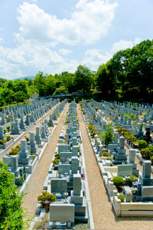 Arrayのeditorial素材