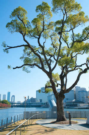 Arrayのeditorial素材