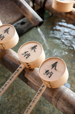 Arrayのeditorial素材