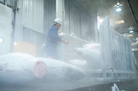 Arrayのeditorial素材