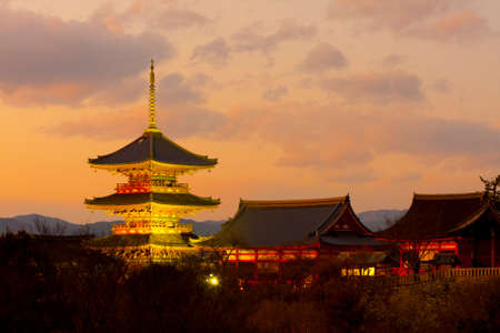 Arrayのeditorial素材