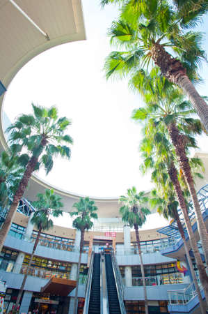 Arrayのeditorial素材