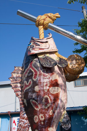 Arrayのeditorial素材