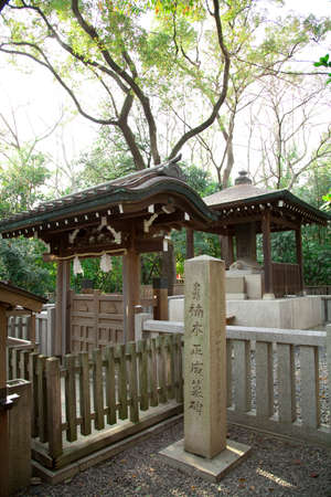 Arrayのeditorial素材