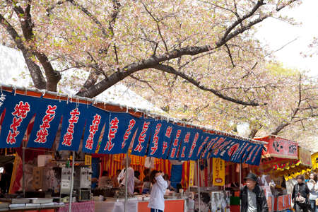 Arrayのeditorial素材