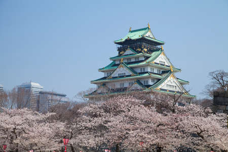 Arrayのeditorial素材