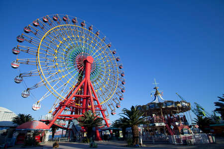 Arrayのeditorial素材