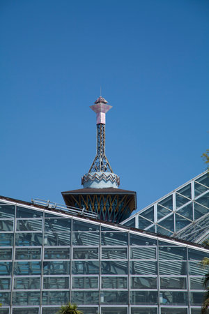 Arrayのeditorial素材