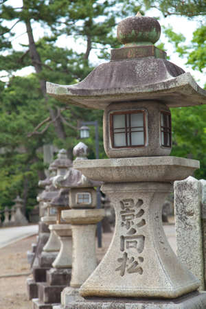 Arrayのeditorial素材