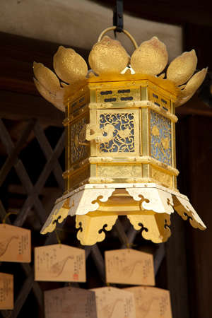 Arrayのeditorial素材