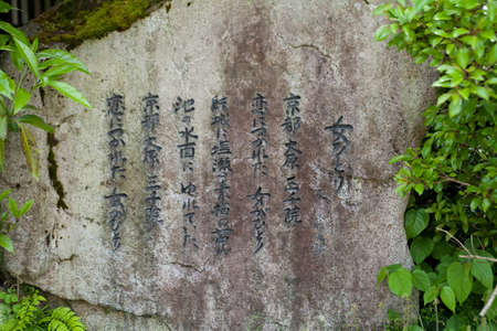 Arrayのeditorial素材