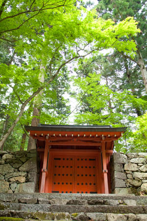 Arrayのeditorial素材